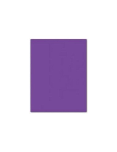 CARTULINA GUARRO VIOLETA 50X65 CM 185 GR