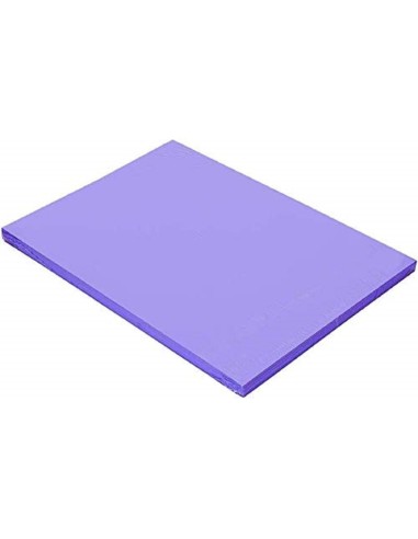 CARTULINA GUARRO DIN A4 VIOLETA 185 GR PAQUETE 50 H 200040165