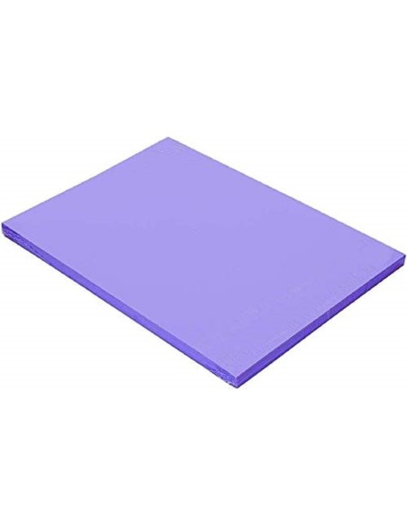 CARTULINA GUARRO DIN A4 VIOLETA 185 GR PAQUETE 50 H 200040165