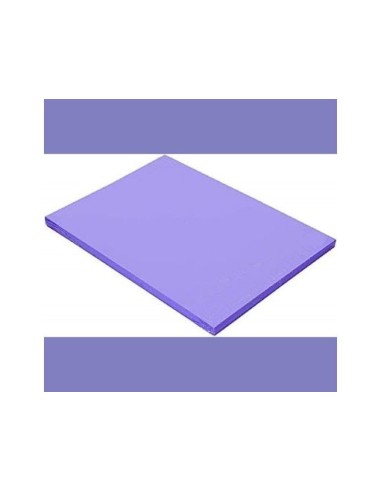 CARTULINA GUARRO DIN A4 VIOLETA 185 GR PAQUETE 50 H 200040165