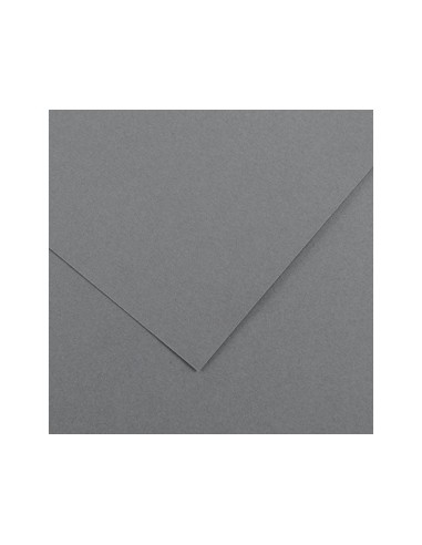 CARTULINA GUARRO DIN A4 GRIS PLOMO 185 GR PAQUETE 50 H 200040178