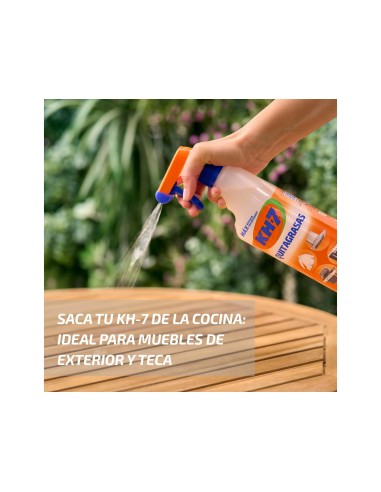 QUITAGRASA KH-7 PISTOLA PULVERIZADORA USO ALIMENTARIO BOTELLA 750 ML