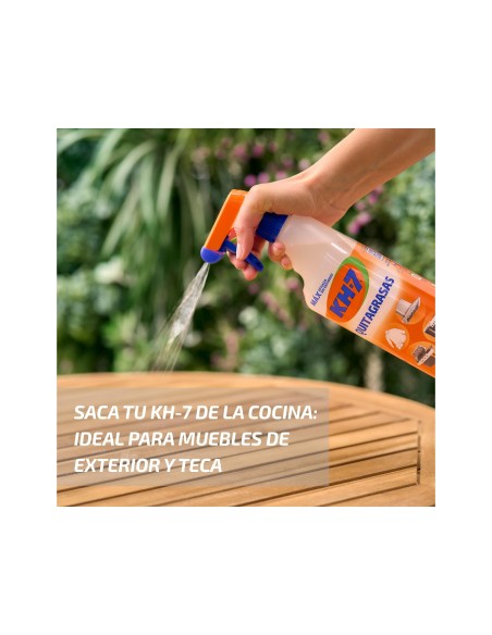 QUITAGRASA KH-7 PISTOLA PULVERIZADORA USO ALIMENTARIO BOTELLA 750 ML