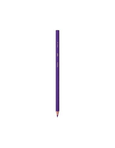 LAPICES COL.BIC KID EVOLUTION ESTUCHE 12 COL.SURT. MINA ULTRA