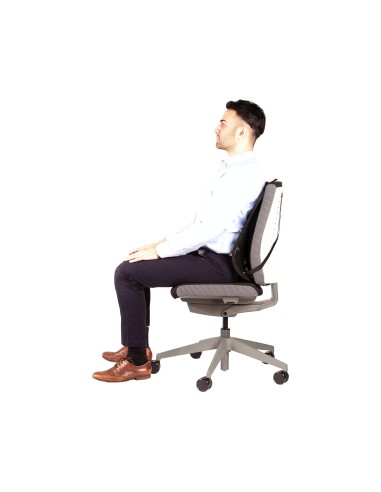 RESPALDO ERGONOMICO FELLOWES MESH OFFICE SUITES SISTEMA