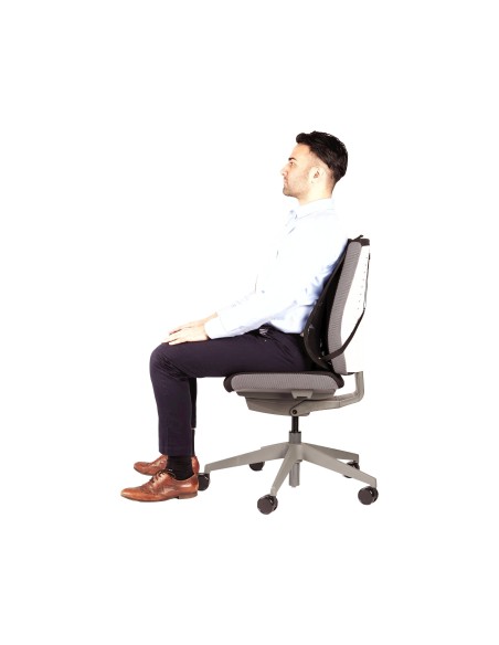 RESPALDO ERGONOMICO FELLOWES MESH OFFICE SUITES SISTEMA