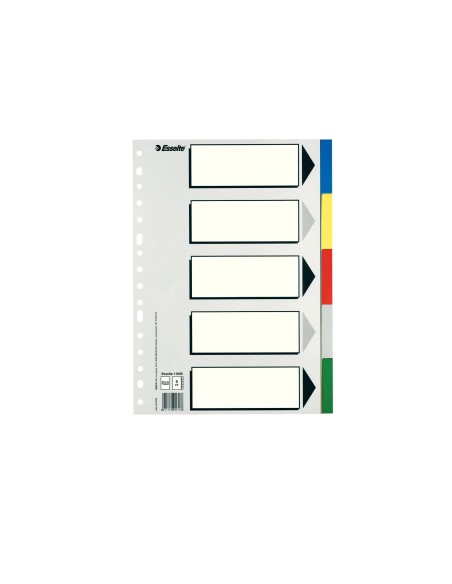 SEPARADOR ESSELTE PLASTICO JUEGO 5 SEPARADORES FL.5 MULTITALADRO