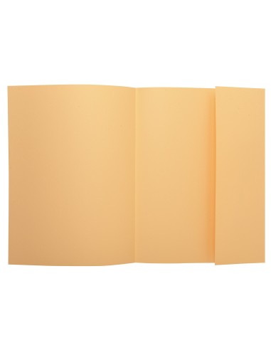 SUBCARPETA A4 160 GR. EXACOMPTA 1 SOLAPA CREMA C/100