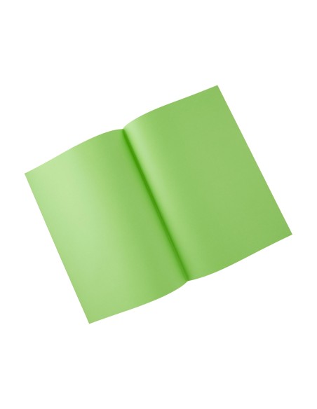 SUBCARPETA A4 80 GR. FINO EXACOMPTA VERDE MENTA C/100