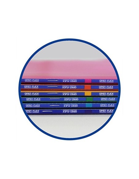 CUADERNO GRAP.OXFORD SCHOOL T.PLASTICO 90X140.5MM 5MM 48H. 90GR SURT.