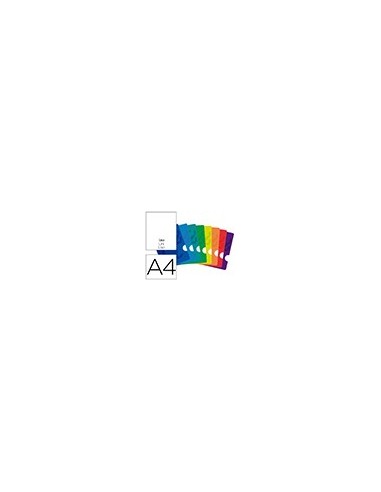CUADERNO GRAP. OXFORD SCHOOL A4 T.FLEXIBLE LISO 48H. 90GR. COL.SURT.