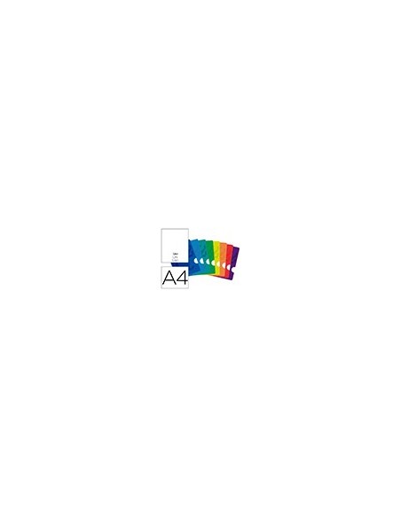 CUADERNO GRAP. OXFORD SCHOOL A4 T.FLEXIBLE LISO 48H. 90GR. COL.SURT.