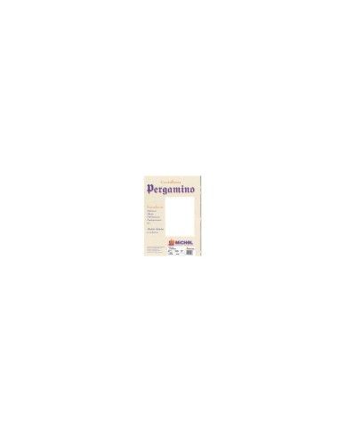 PAPEL PERGAMINO A4 TROQUELADO 200 GR COL.RUSTICO BLANCO PAQUETE 25 H.