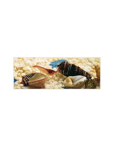 AGUA DESTILADA VIVOCHEF GARRAFA 5L