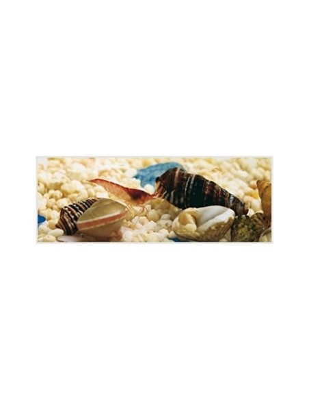 AGUA DESTILADA VIVOCHEF GARRAFA 5L