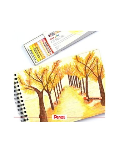 LAPICES PENTEL OIL PASTEL CAJA 25 SURT.