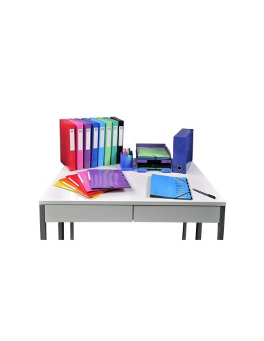 CAJA TRANSFERENCIA EXACOMPTA IDERAMA A4 L90 MM SURT.