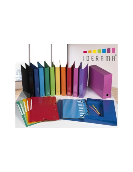 CAJA TRANSFERENCIA EXACOMPTA IDERAMA A4 L90 MM SURT.