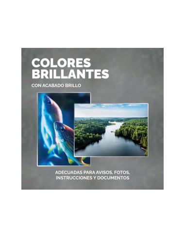 BOLSA PLASTIFICAR FELLOWES BRILLO 4º 125 MICRAS PK.100 UD.