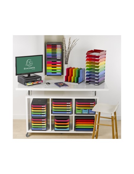 ORGANIZADOR ARMARIO EXACOMPTA TOP NG. MULTI.VERT.5 COMP.300X288X255MM