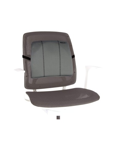 RESPALDO ERGONOMICO FELLOWES LUMBAR FUNDA EXTRAIBLE LAVABLE 9190901