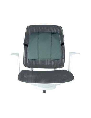 RESPALDO ERGONOMICO FELLOWES LUMBAR FUNDA EXTRAIBLE LAVABLE 9190901