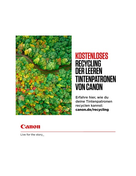 6509B008 CARTUCHO CANON CLI-551 MULTIPACK 344 PG.