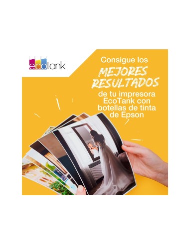C13T03R440 TINTA EPSON ECOTANK 102 BOTE 70 ML AM.6.000 PG.