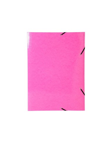 CARPETA GOMAS EXACOMPTA A3 CARTON 3 SOLAPAS COL.SURT.