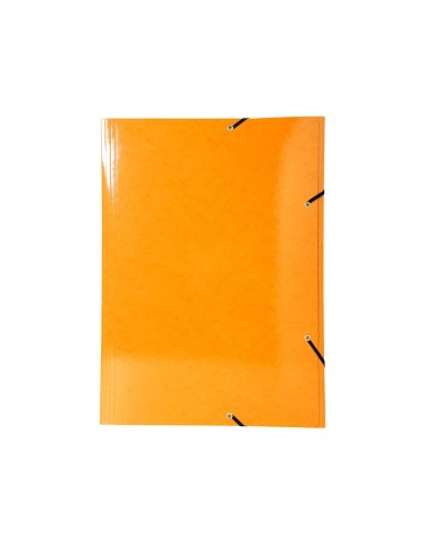 CARPETA GOMAS EXACOMPTA A3 CARTON 3 SOLAPAS COL.SURT.