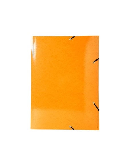 CARPETA GOMAS EXACOMPTA A3 CARTON 3 SOLAPAS COL.SURT.