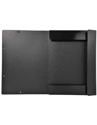 CARPETA GOMAS EXACOMPTA A3 CARTON 3 SOLAPAS COL.SURT.
