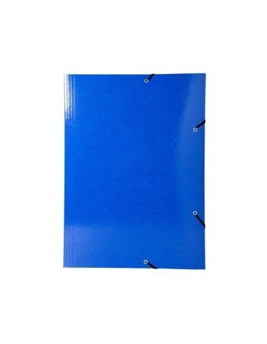 CARPETA GOMAS EXACOMPTA A3 CARTON 3 SOLAPAS COL.SURT.