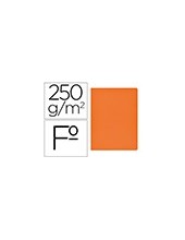 SUBCARPETA FL 250 GR. GIO NARANJA INTENSO C/50 2