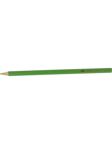 LAPICES DE COLORES ACUARELABLES LIDERPAPEL CAJA DE 12 COLORES LC09