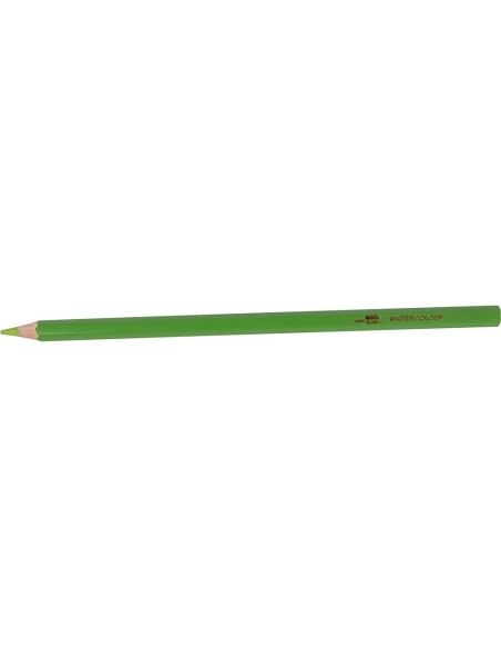 LAPICES DE COLORES ACUARELABLES LIDERPAPEL CAJA DE 12 COLORES LC09
