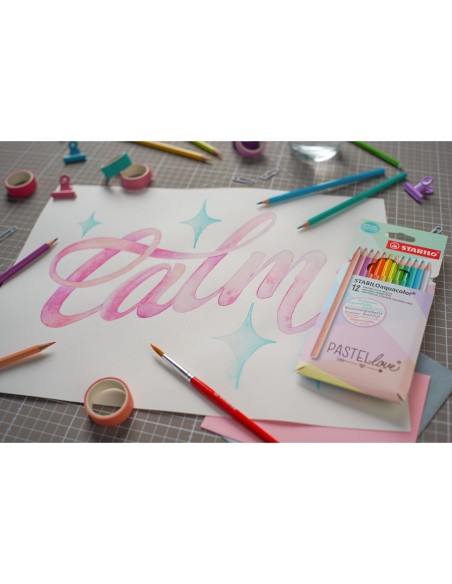 LAPICES STABILO AQUACOLOR ACUARELABLES PASTEL LOVE  CARTON 12 SURT.