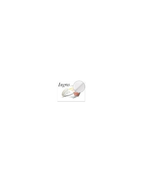 PAPEL INGRES 50X70 BLANCO 108 GR