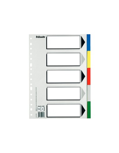 SEPARADOR ESSELTE PLASTICO JUEGO 5 SEPARADORES A4 5 COL.MULTITALADRO
