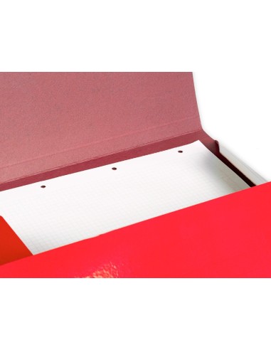 CARPETA  GOMAS 3 SOLAPAS CARTON PLAST.800GR.A3 SURT.