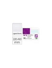 FICHA RAYADA N.5 160X220 MM PAQUETE 100 2