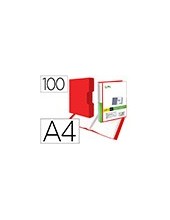 CARPETA PERSONALIZA 100 FUNDAS PP.DIN A4 RJ. TRANS.CAJETIN 2