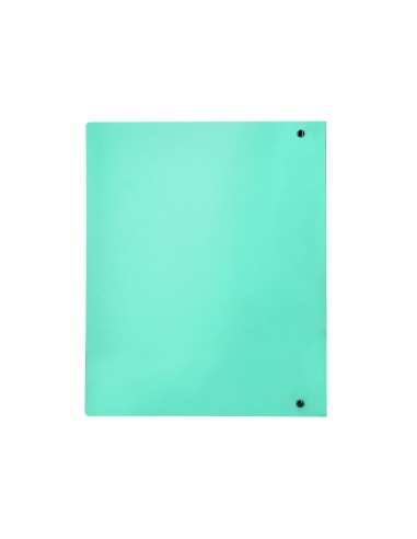 CARPETA LIDERPAPEL 4AN.MIXTAS 40MM PP.A4 VE. MANZANA OPACO