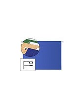 CARPETA COLGANTE FL VISOR SUP. LIDERPAPEL AZUL 2