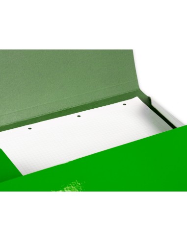 CARPETA  GOMAS FL. 3 SOLAPAS CARTON PLAST.VE.