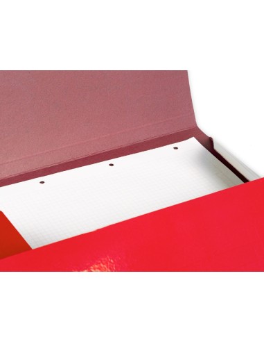 CARPETA  GOMAS FL. 3 SOLAPAS CARTON PLAST.RJ.