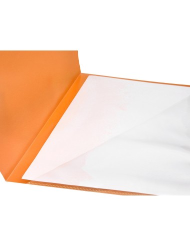 CARPETA DOSSIER A4 UÑERO NJ.FLUOR OPACO