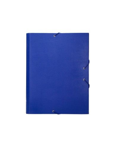 CARPETA CLASIF.A C.FORRADO SOLAPA AZUL 12 DEPARTAMENTOS
