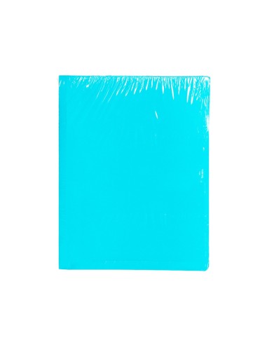 SUBCARPETA FL 180 GR. LIDERPAPEL AZUL PASTEL
