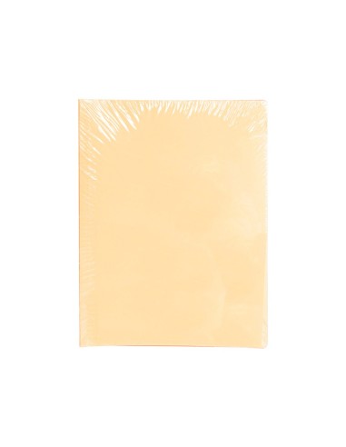SUBCARPETA FL 180 GR. LIDERPAPEL NARANJA PASTEL